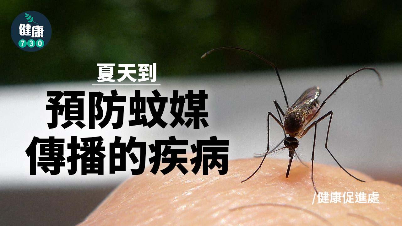 預防蚊媒傳播的疾病