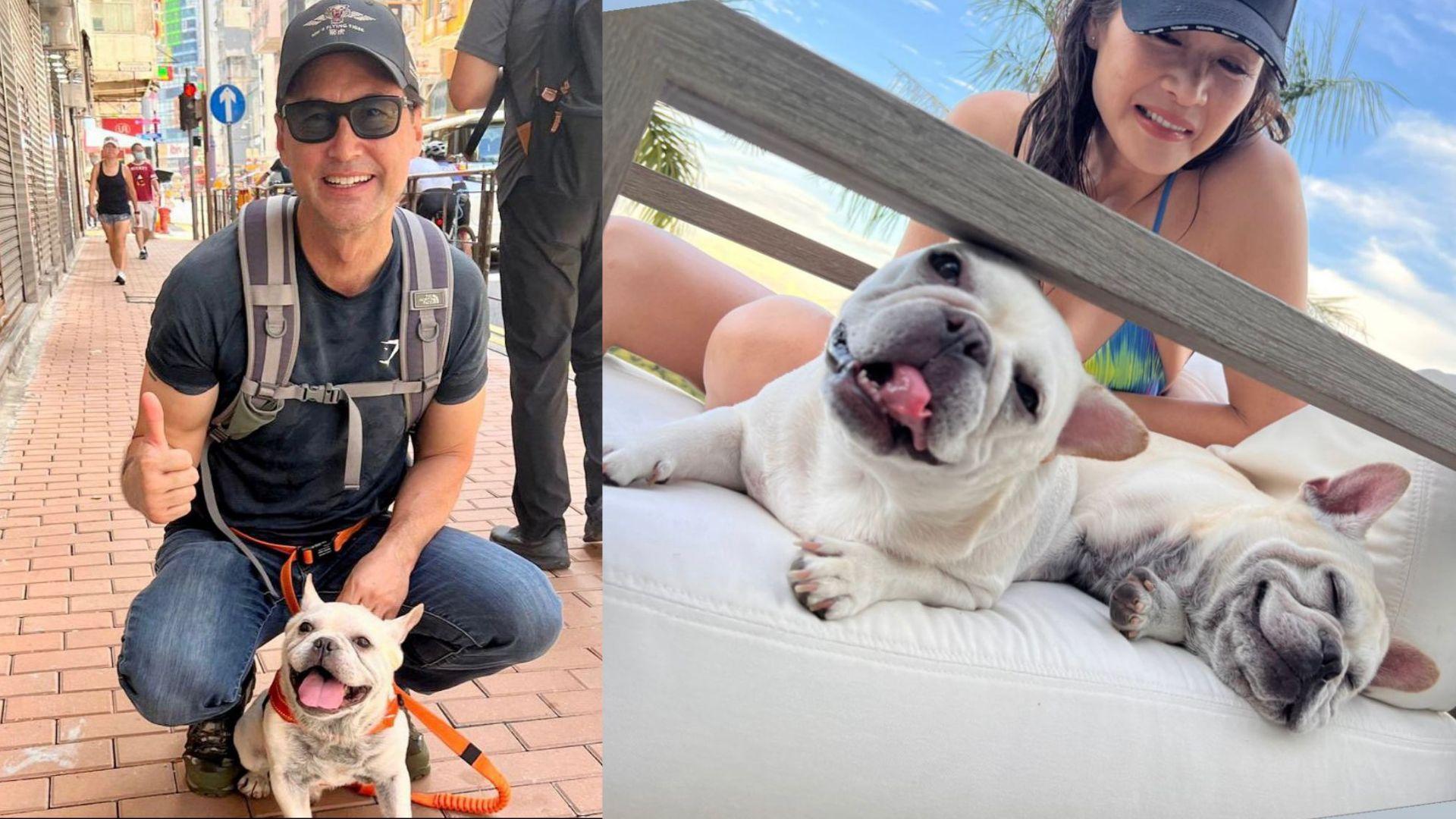 王敏德領養法虎進駐豪宅 馬詩慧寵愛家庭新成員