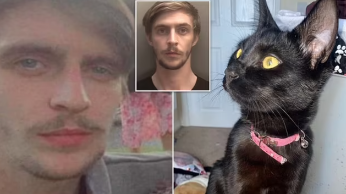 英懦夫虐殺女友貓 用鋼頭鞋踢 淋滾水漂白水毒打 「重囚」27個月 網民憤怒︰應判27年！