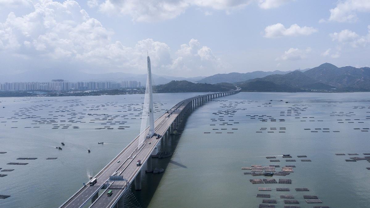 后海灣一帶有不少蠔排。(資料圖片)