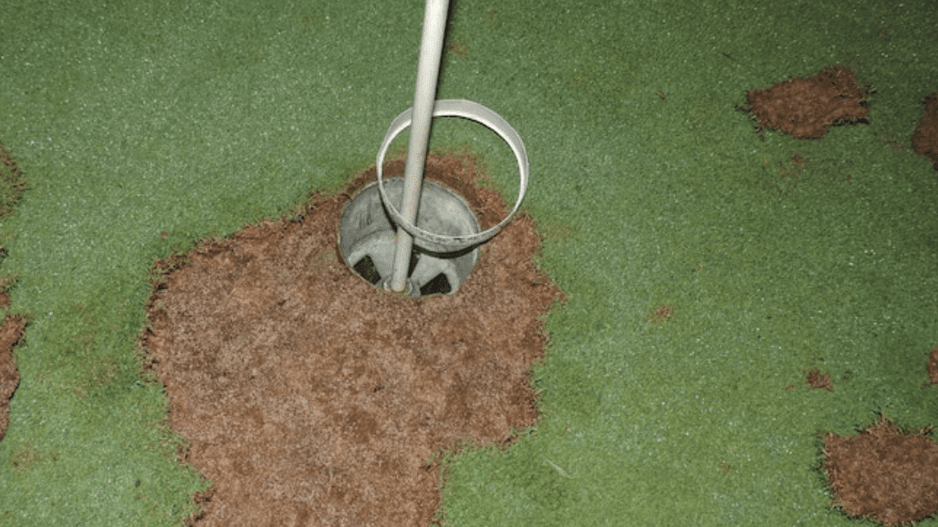 西班牙環保組織針對高球場發起活動。(網上圖片)