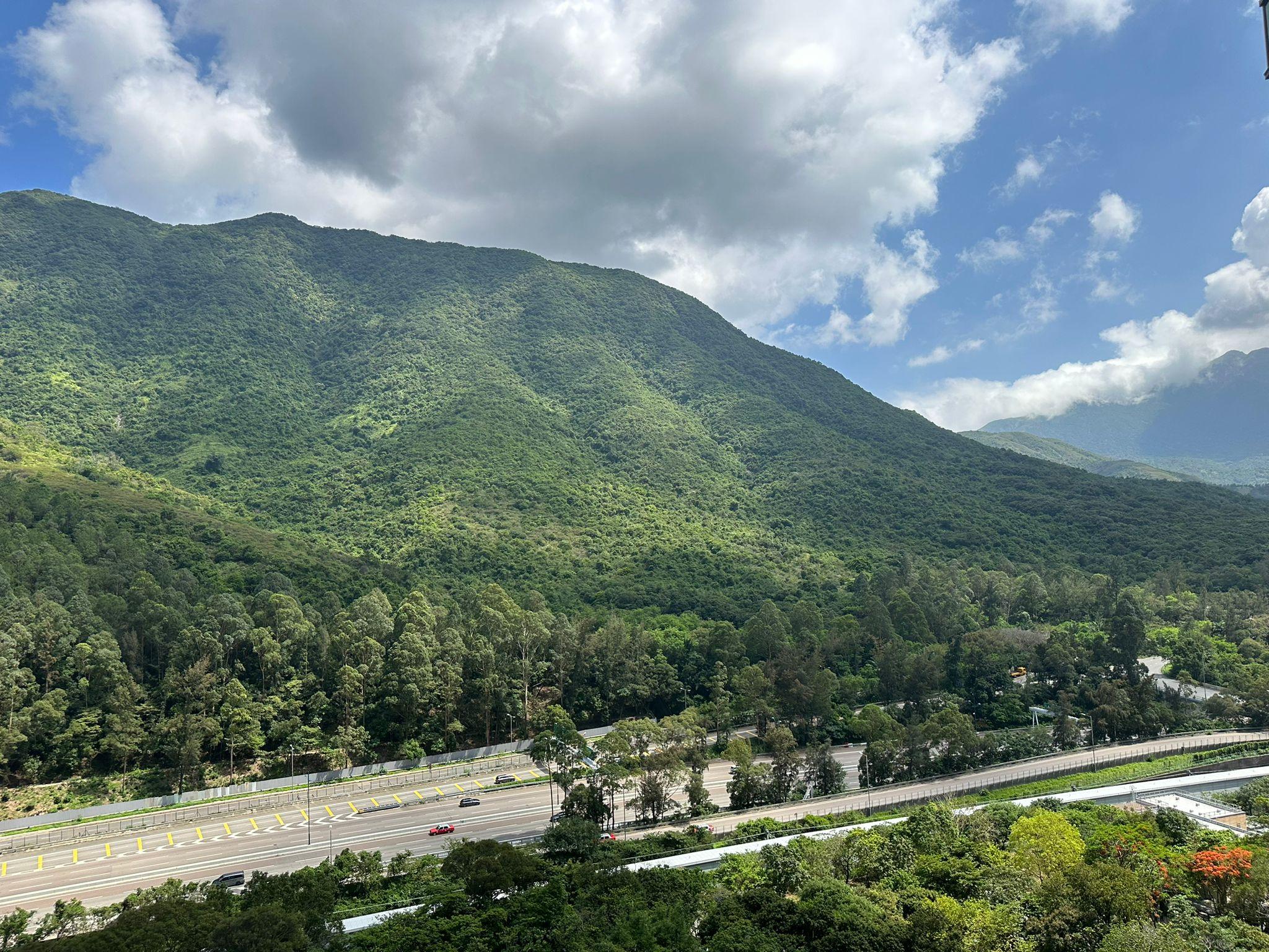 單位主要望翠綠山景，景觀非常開揚。(代理提供)