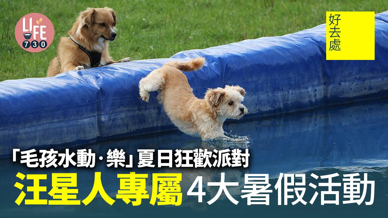 好去處│「毛孩水動•樂」夏日狂歡派對 汪星人專屬4大暑假活動