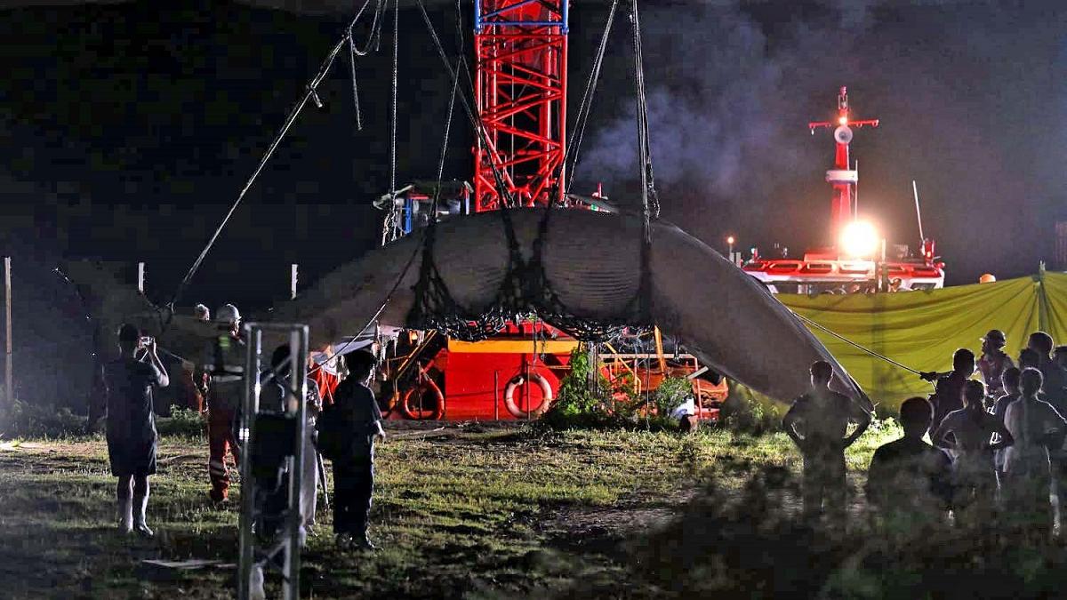 在西貢海域的鯨魚屍體被舁送至萬宜水庫西壩解剖。(陳奕釗攝)