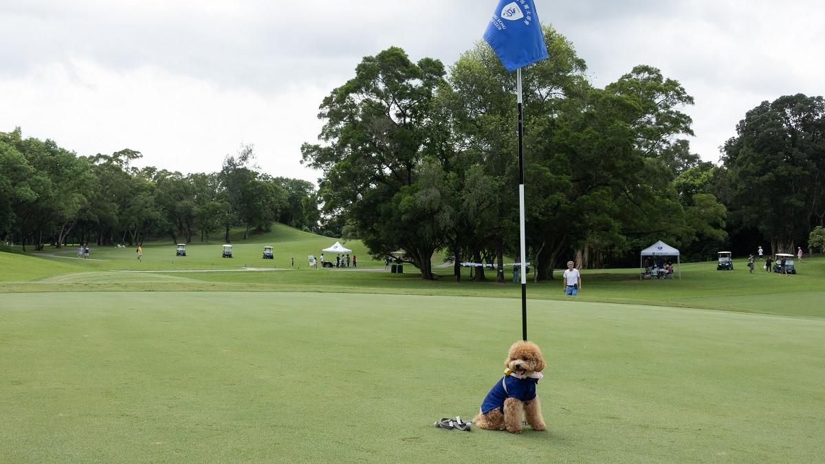 香港哥爾夫球會就粉嶺高球場環評報告的司法覆核申請，獲高等法院批出。(資料圖片／蘇文傑攝)