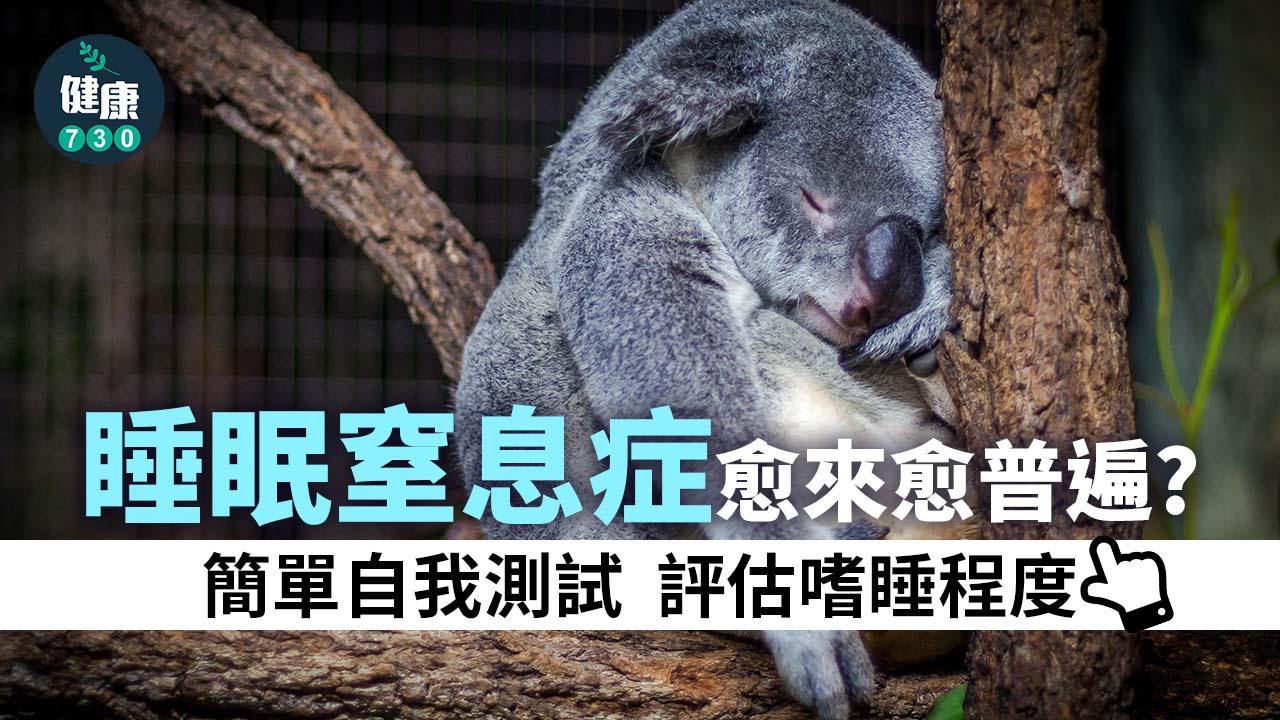 鼻鼾｜睡眠窒息症愈來愈普遍？治療要用到呼吸機？附簡單自我測試！