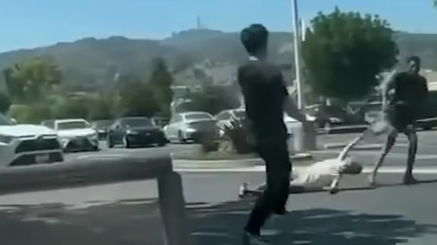 美國治安｜三藩市76歲華裔婦 光天化日遭劫匪拖行30呎搶劫