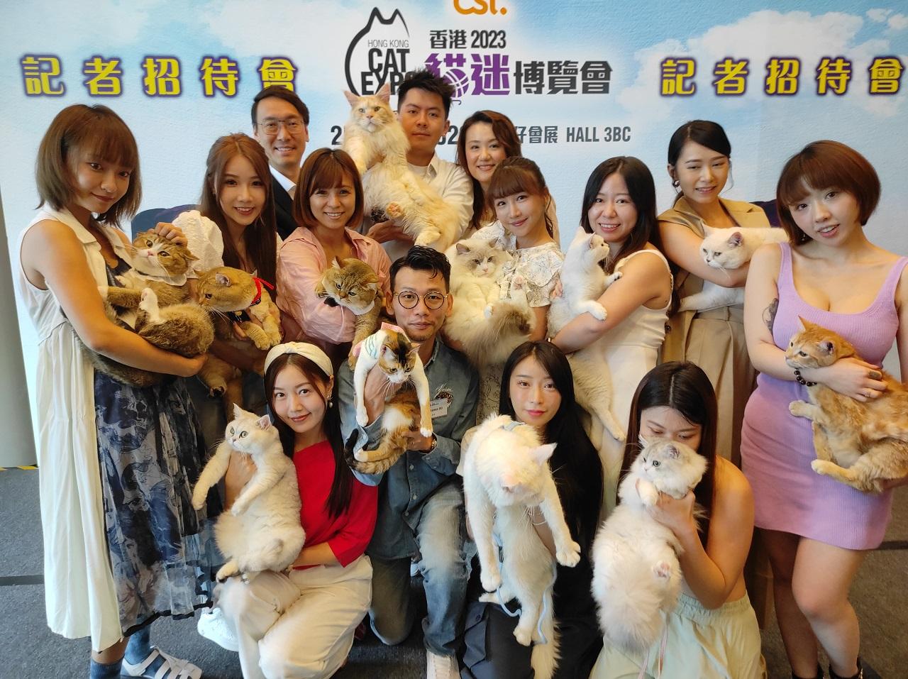 調查發現，逾四成受訪者飼養一隻貓。(李朗僑攝)