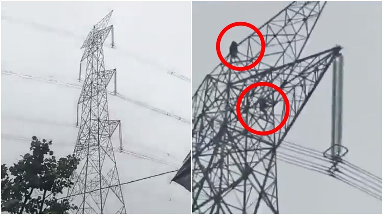 情侶爭執爬上45米高電塔上吵架，嚇壞街坊。(X)