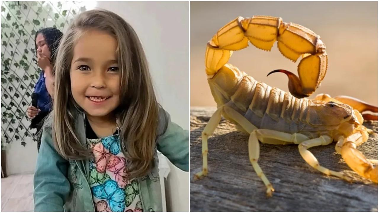 5歲女遭毒蠍螫傷，急症室等1小時才知無血清慘死。(X)