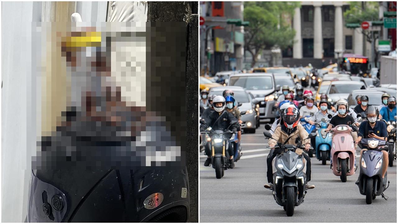 頭盔黐滿「曱甴」令萬人震驚，網民：防盜狠角色。