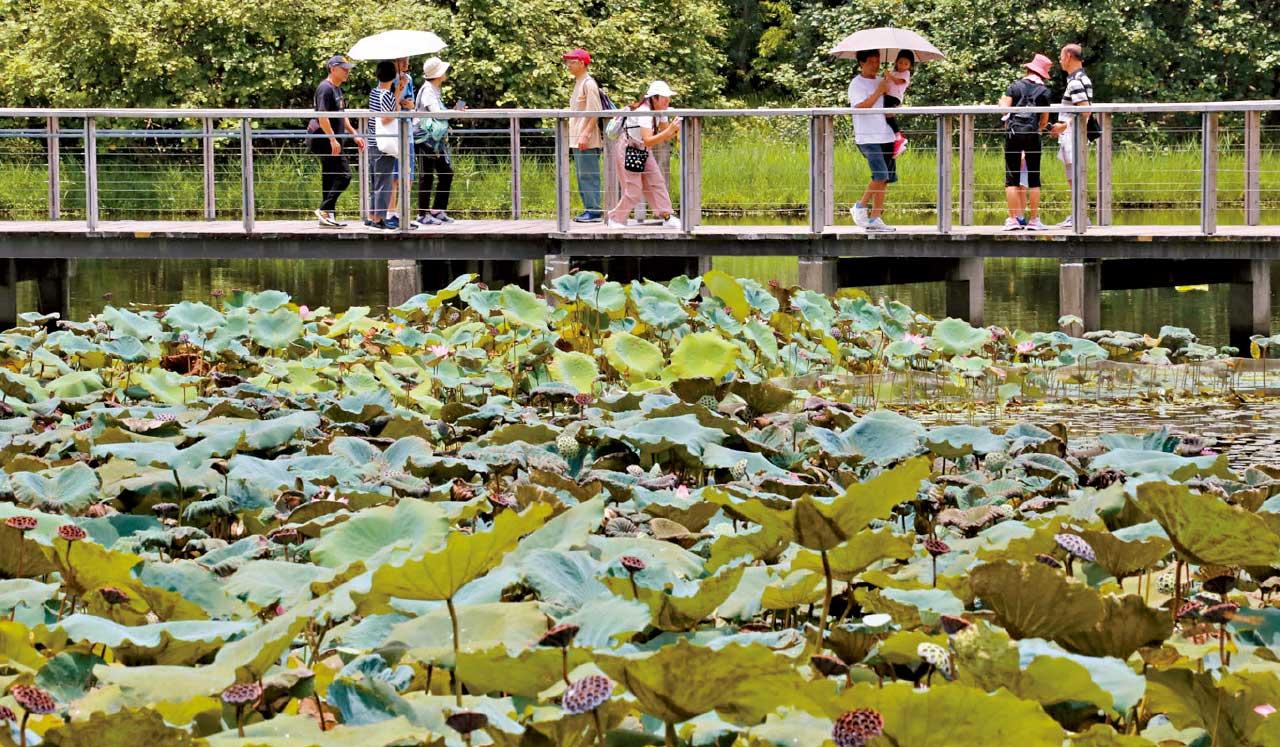 首個「全國生態日」陳國基︰研究北部都會區設濕地公園
