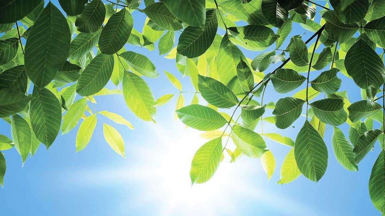 李醫師的診聊室