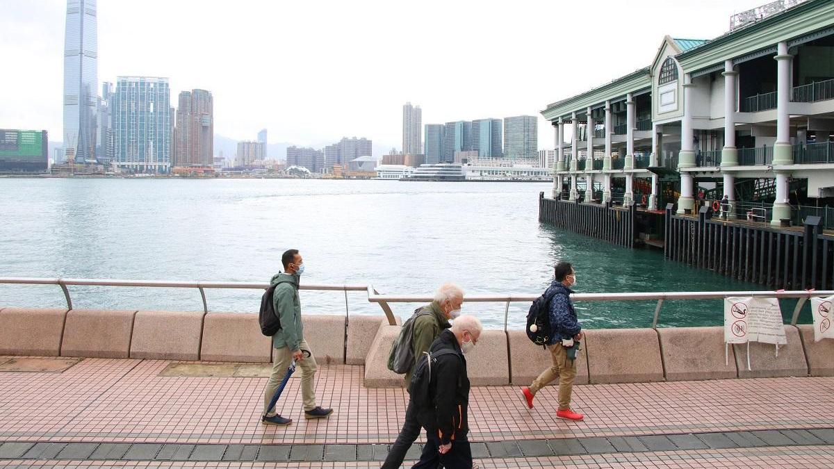 中環碼頭發現江豚屍體。