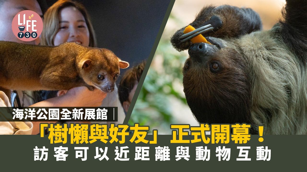 海洋公園全新展館「樹懶與好友」正式開幕！（資料圖片）
