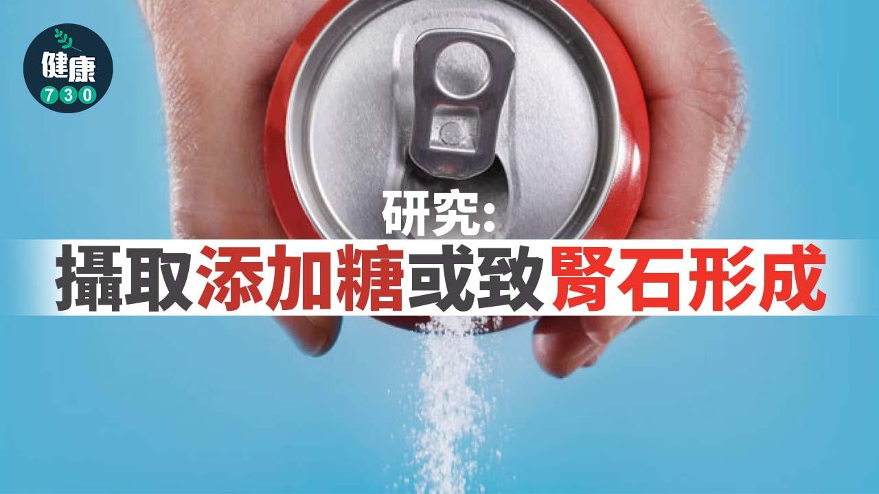 腎石原因｜研究：攝取添加糖或致腎石形成