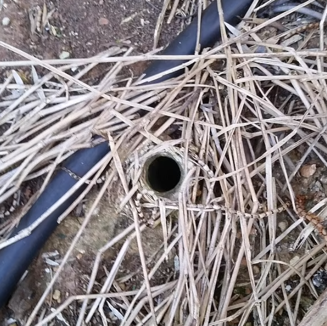 男子家中花園忽然有個洞 上網一問大吃一驚