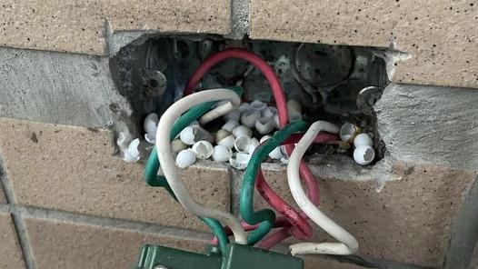 拆插座驚見十幾隻蛋殼，網民羨慕兼道賀。(FB)