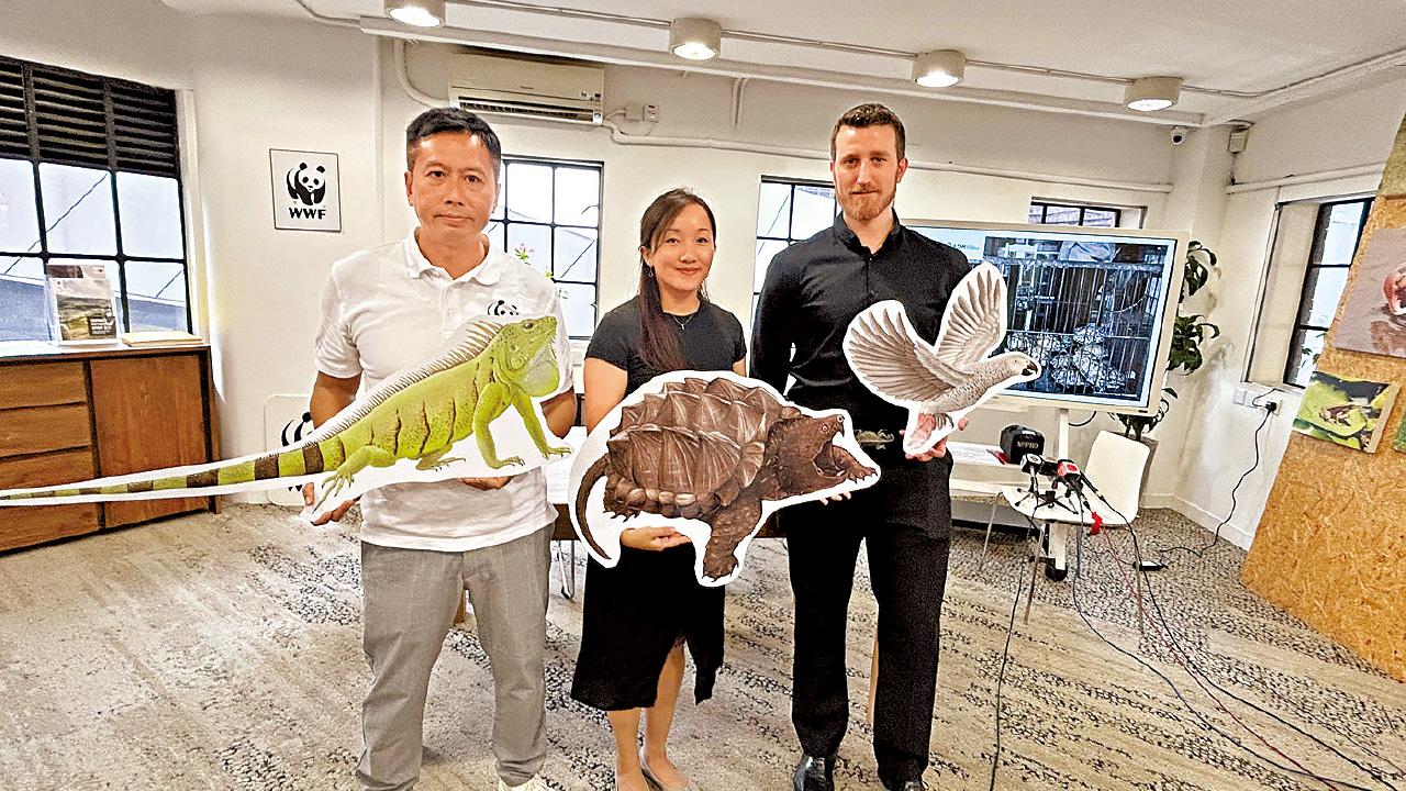 逾百萬珍禽異獸進口香港 近半屬瀕危 團體倡設「認可清單」限制入口