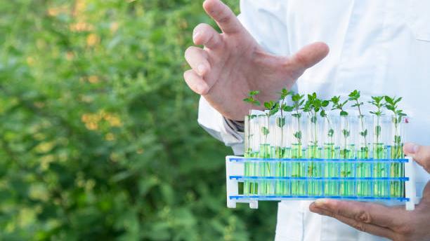 宜利用生物修復改造污染環境