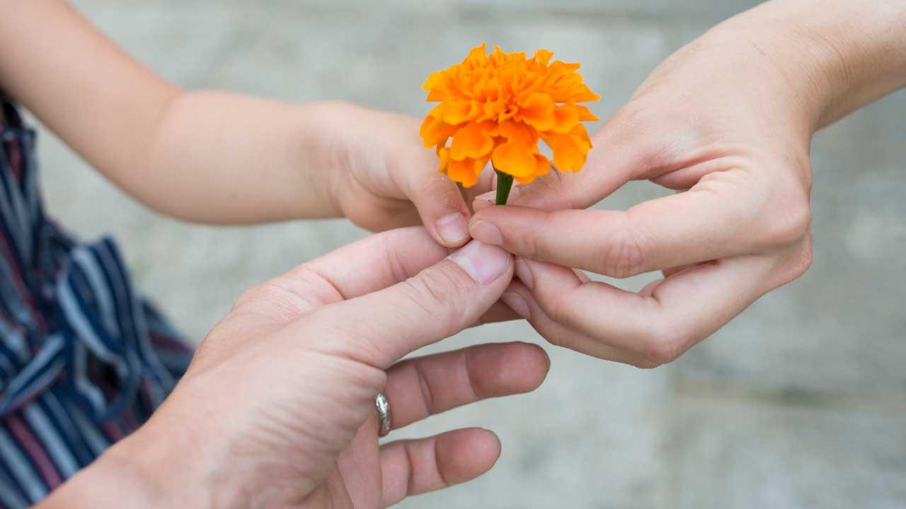 落實拯救「照顧者」方案