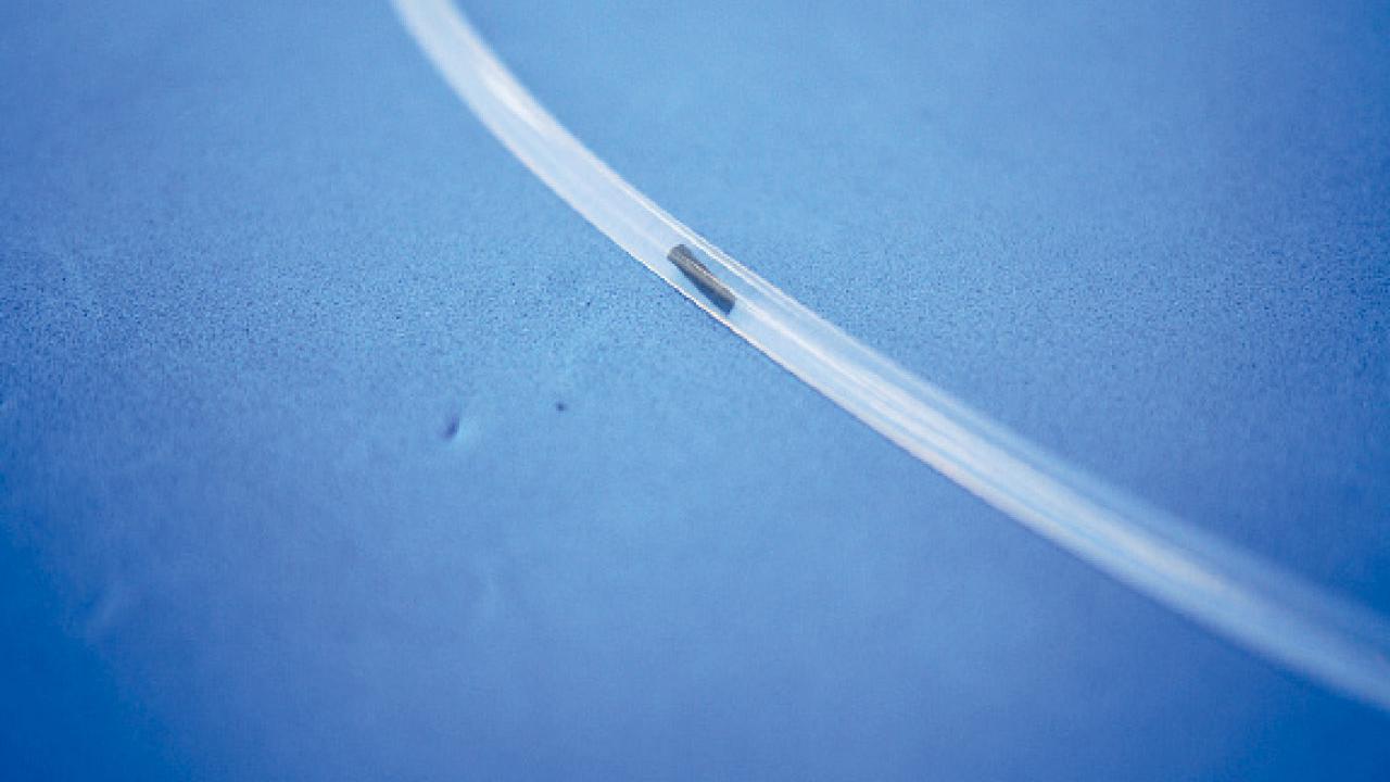 磁性水凝膠微機械人 對抗植入物菌膜