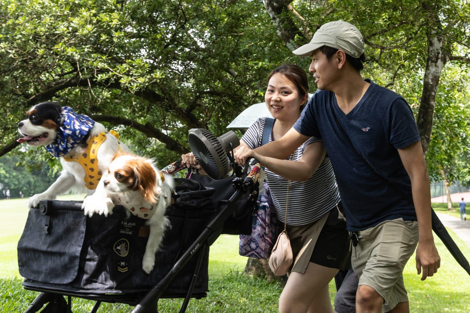 粉嶺高球場｜舊場今起開放　包括寵物公園和步行徑