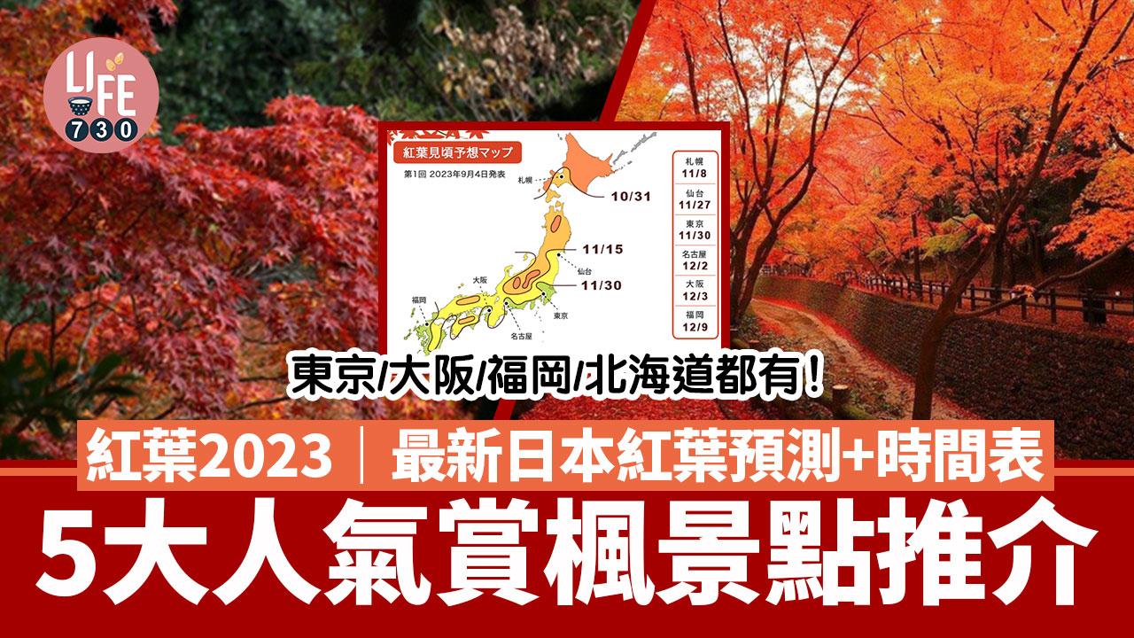 紅葉2023｜最新日本紅葉預測+時間表！ 5大人氣賞楓景點推介 東京/大阪/福岡/北海道都有！