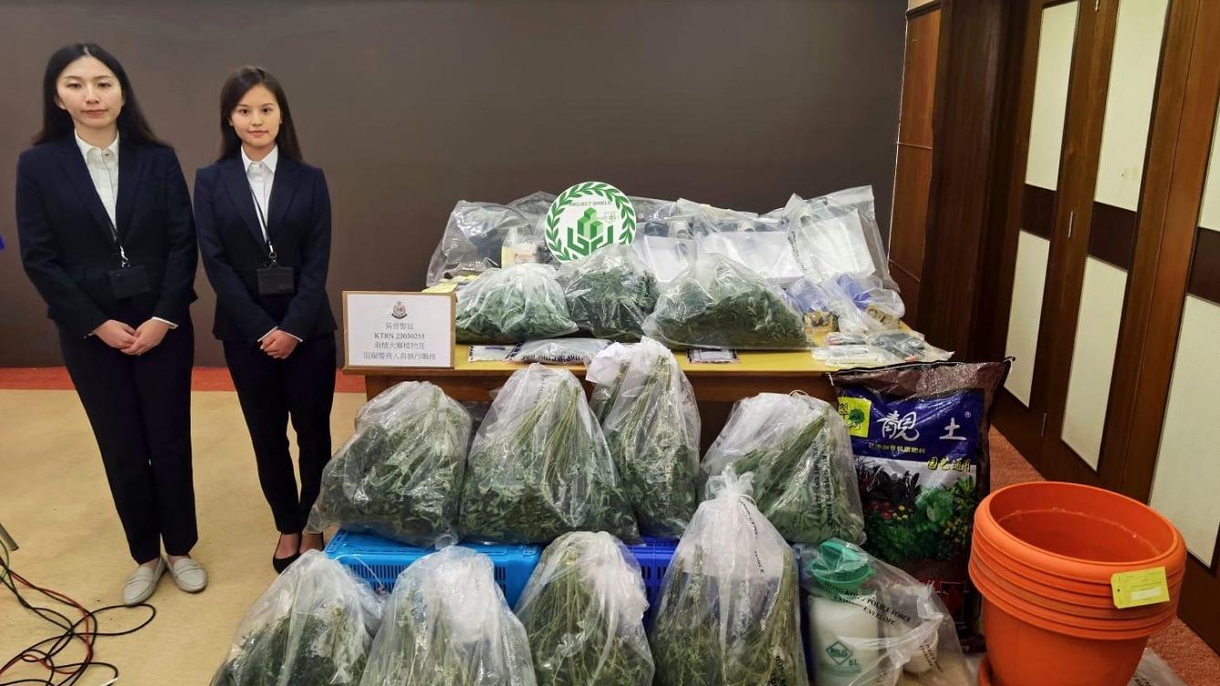警方搗破兩個工廈大麻種植場，拘捕3人並檢獲近2,000萬元大麻。