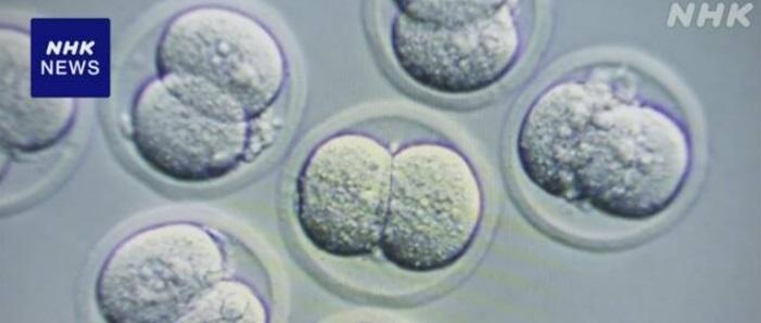 日本科學家在國際太空站成功培育老鼠胚胎。(互聯網)