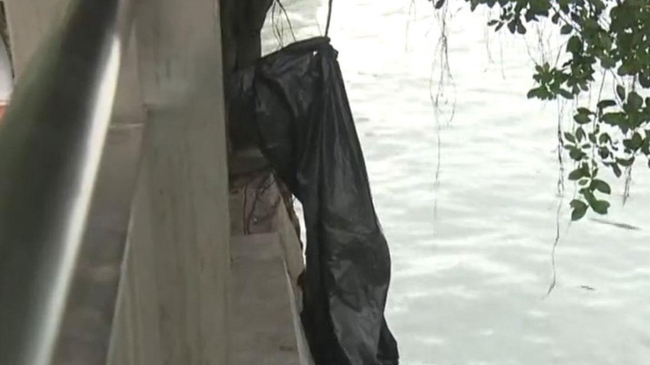 69歲女貓主3印傭疑北角虐貓案 警︰不排除涉宗教儀式