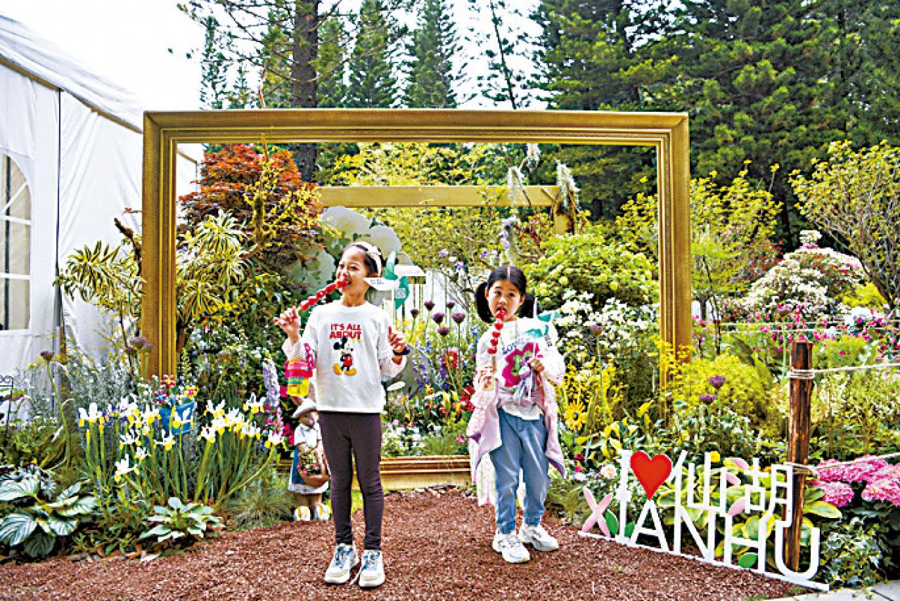 為香港市民的生活、婦女兒童和大灣區的發展攜手前行