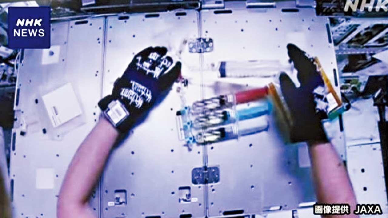 太空培育老鼠胚胎 日研究︰無重狀態不影響發育