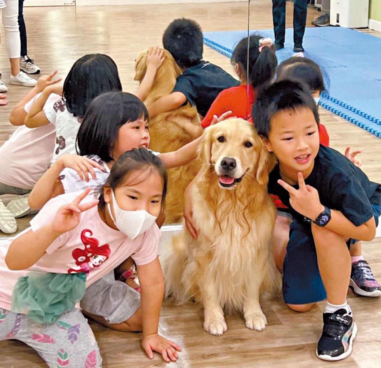 動物輔助治療 打開SEN學童心扉