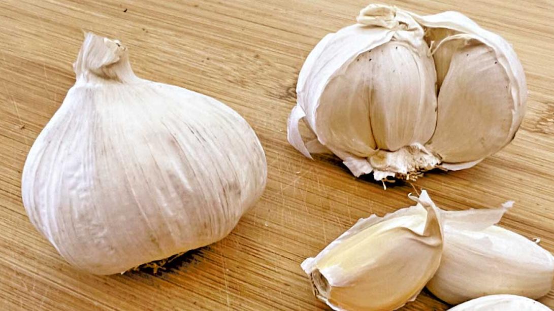 大蒜雖好 不是人人合適