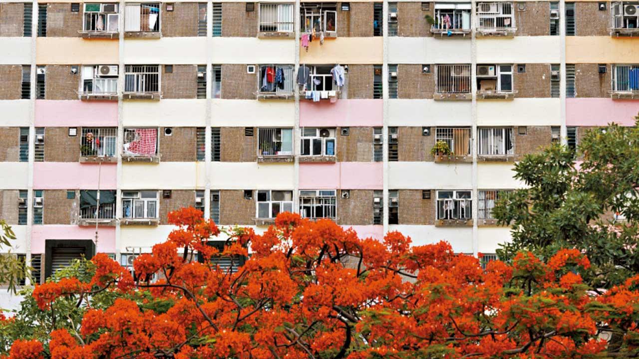 租户司法覆核房委會