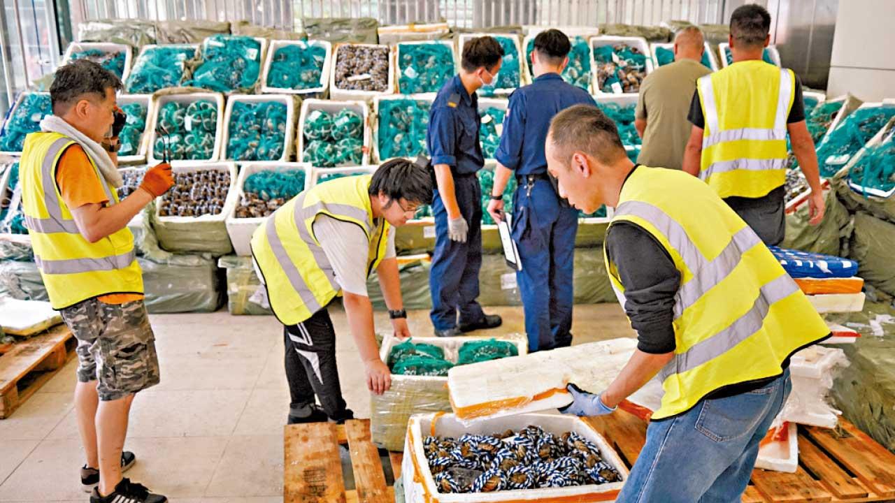 海關歷來最大宗大閘蟹走私案 檢獲4.8萬隻市值720萬