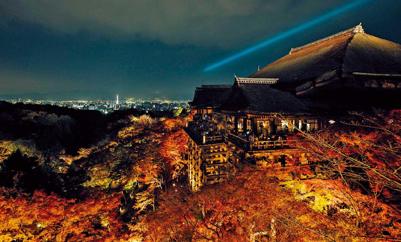 京都賞楓名所 人氣夜間參拜 どうする紅葉？