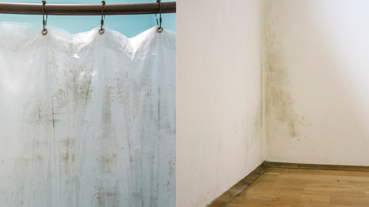 除霉丨牆身/天花板/洗手盆邊/浴簾/地板瓷磚罅發霉　清理霉菌全靠漂白水