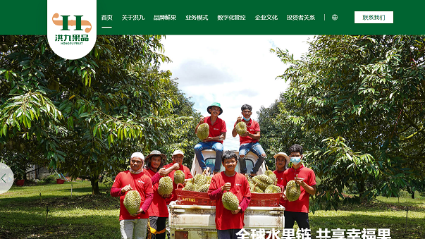 洪九果品股價有較大反彈機會