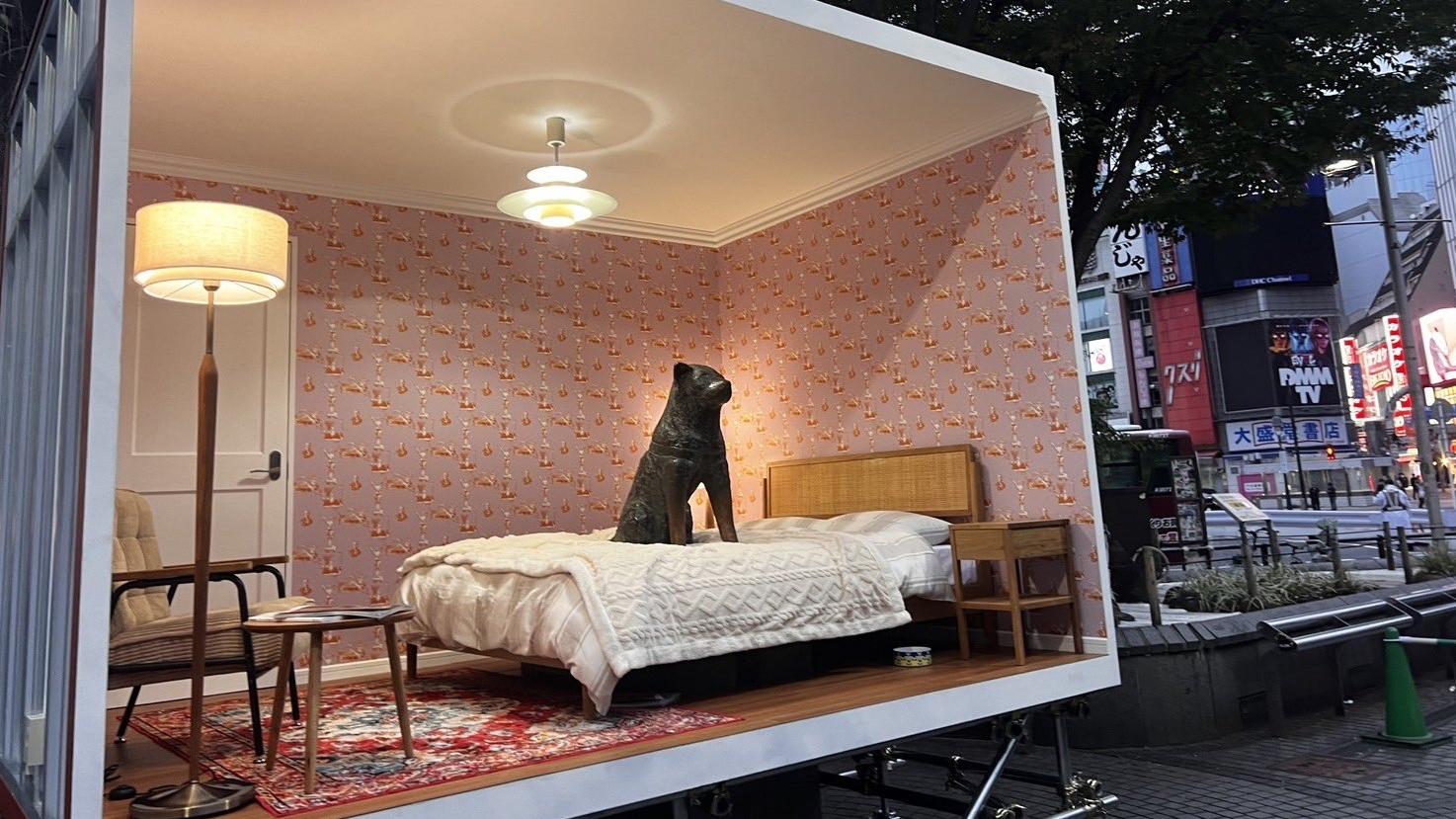 忠犬八公像住進專屬的一日限定房間。(互聯網)