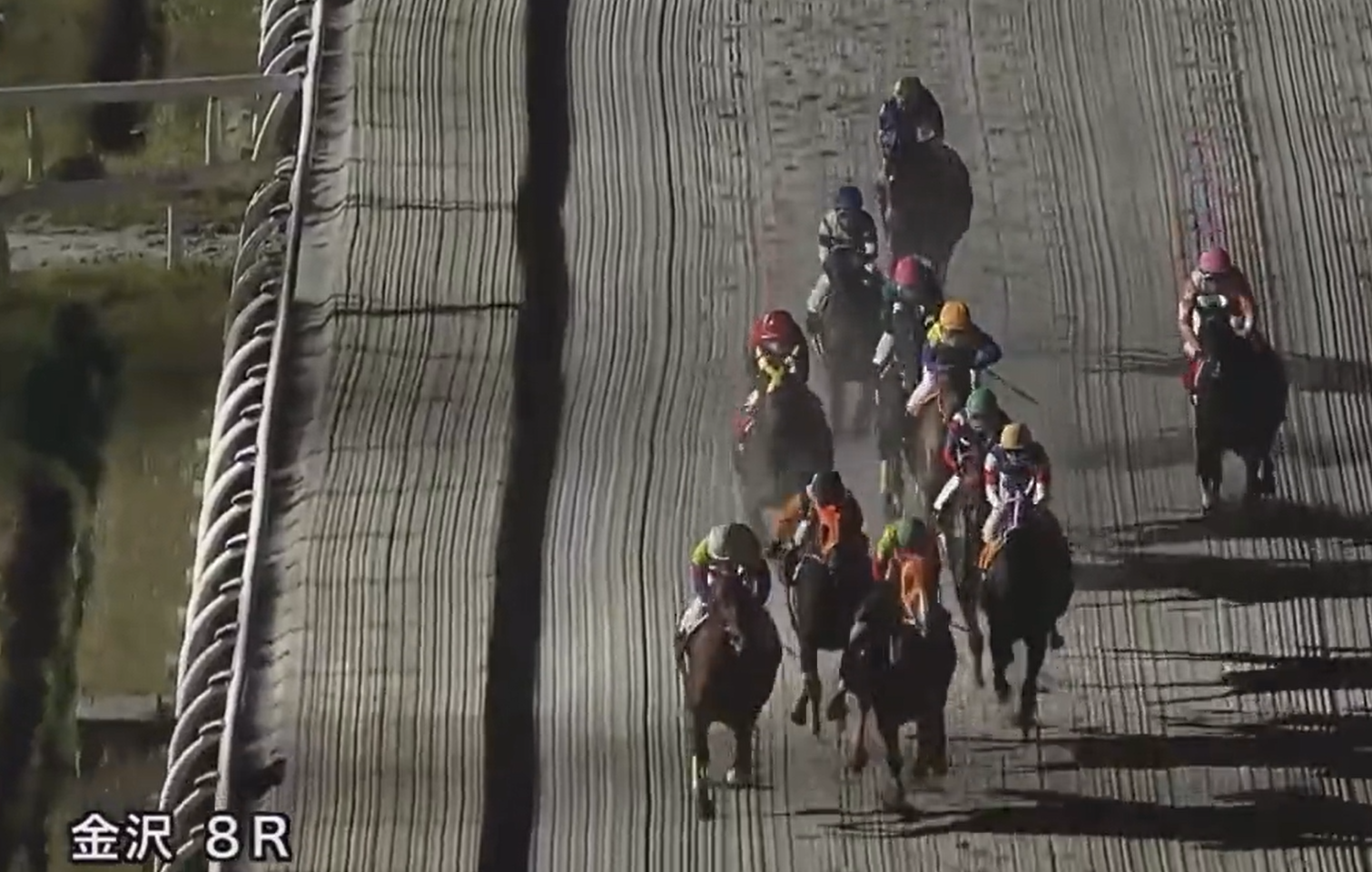 日本一場夜馬馬場發生事故，導致騎師墮馬及有馬匹要人道毀滅。(影片截圖)