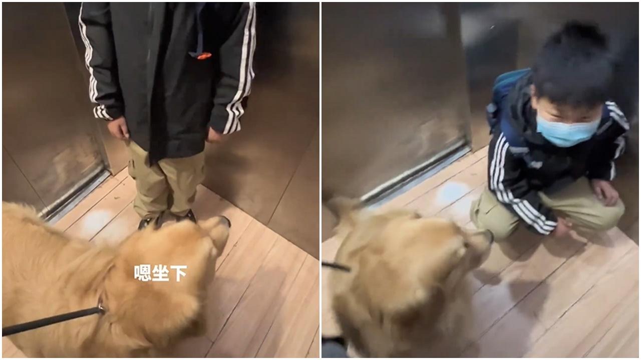 與狗狗搭𨋢超緊張，飼主叫「坐下」男童秒蹲下笑爆網民。(微博)