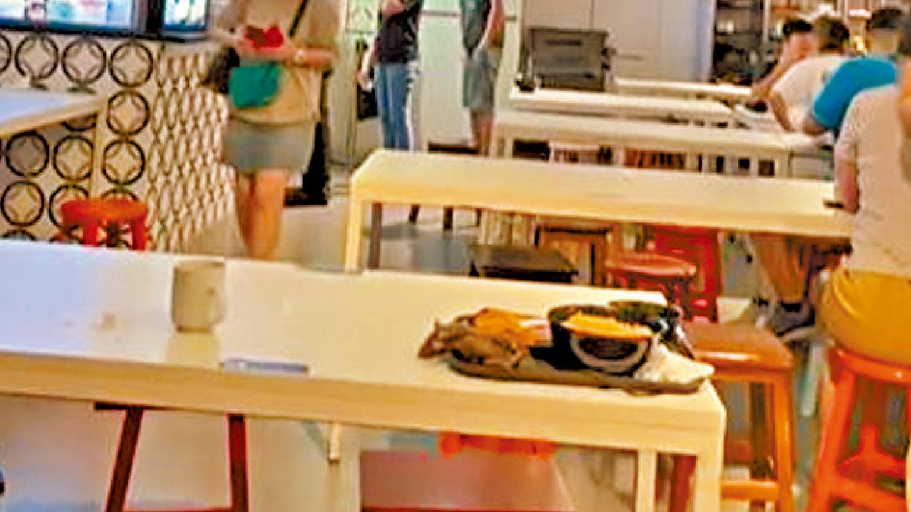 疑從天花水管掉下 食客尖叫 新加坡美食廣場天降老鼠