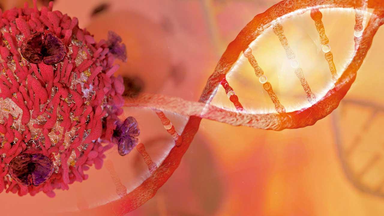 PALB2、TP53遺傳基因突變 高危患乳癌