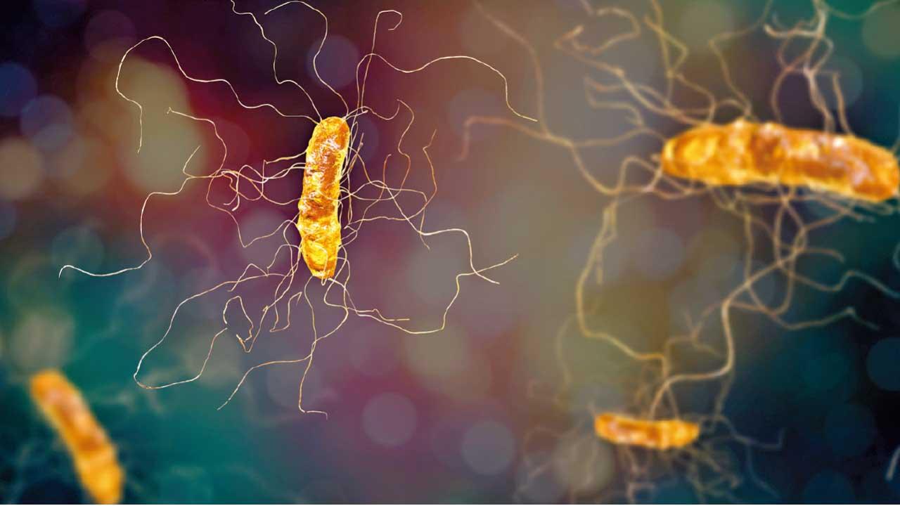 AI檢測腸道微生態 個人化治療難辨梭菌感染