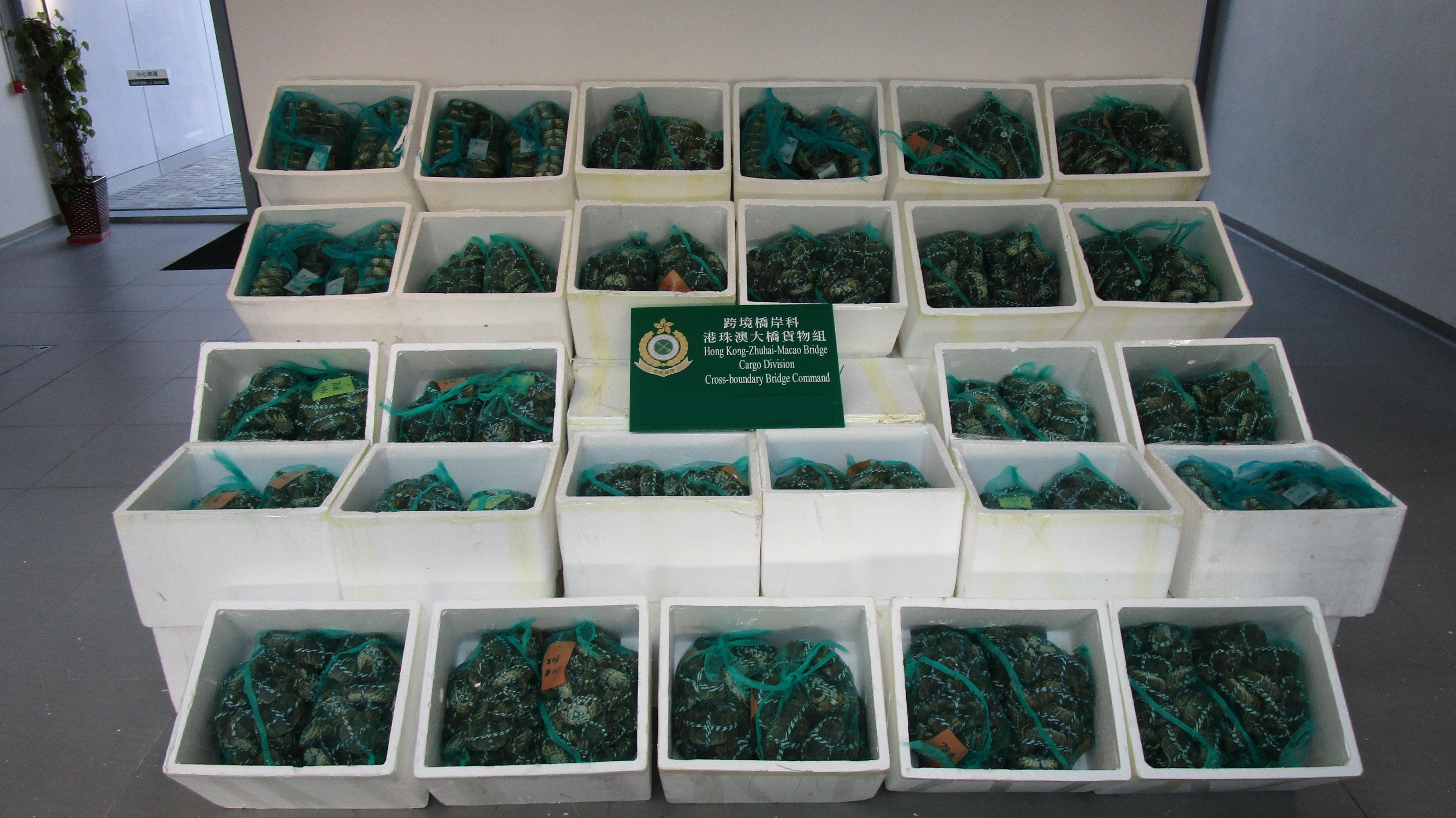 香港海關昨日（十一月十九日）在港珠澳大橋香港口岸檢獲約六千四百隻懷疑走私大閘蟹，重約九百二十公斤，估計市值約三十九萬元。圖示檢獲的懷疑走私大閘蟹。