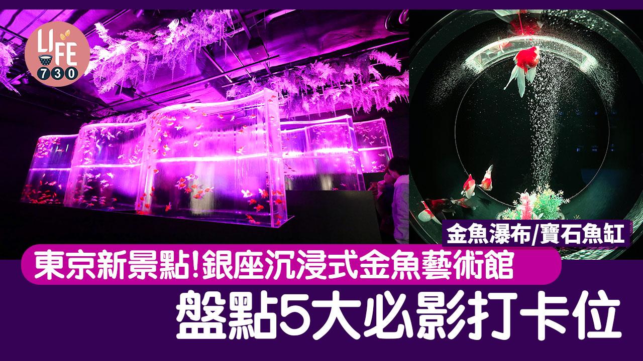日本旅遊｜東京新景點！ 銀座沉浸式金魚藝術館  盤點5大必影打卡位 金魚瀑布/寶石魚缸