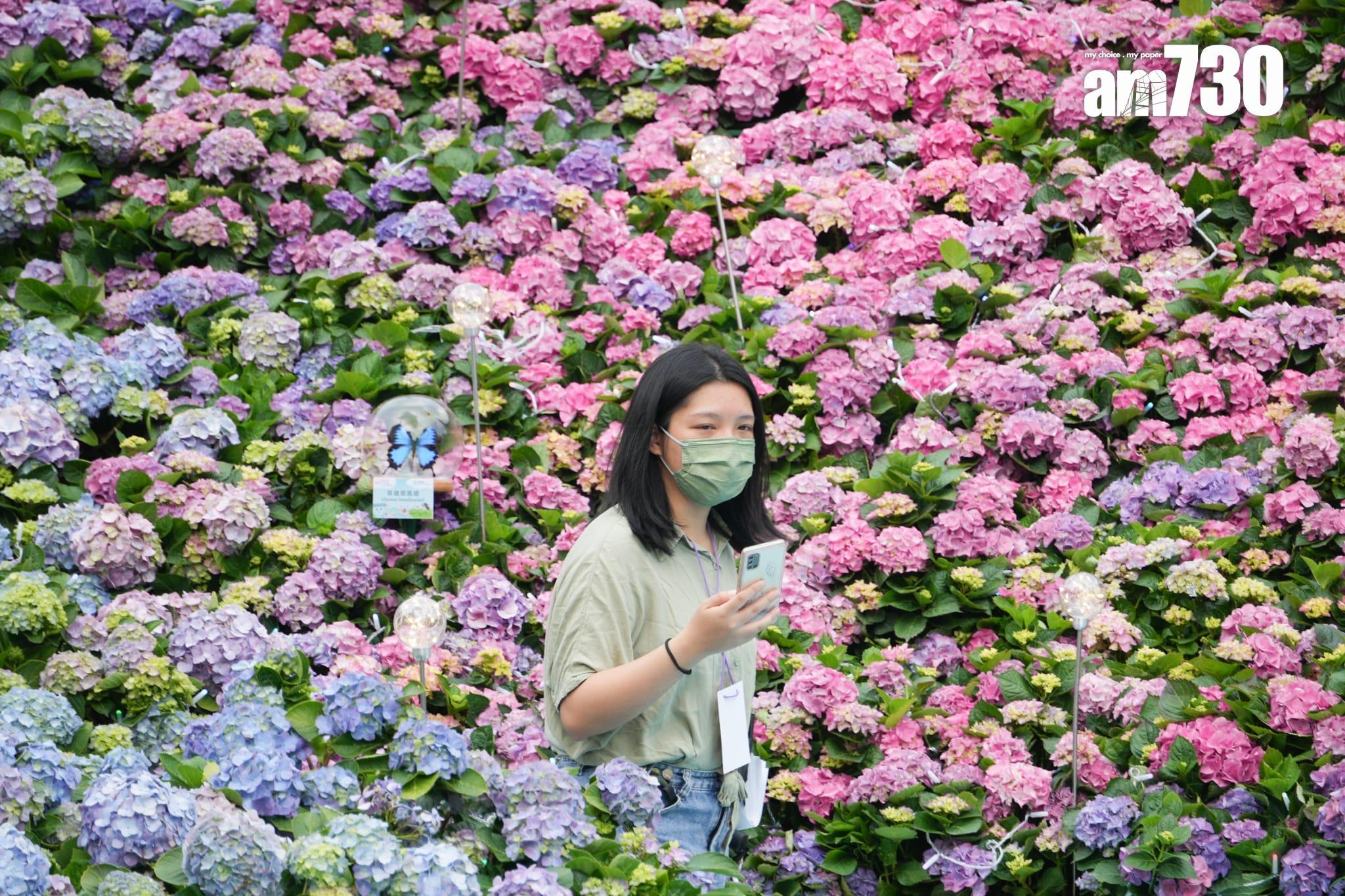 香港今年初恢復與內地通關，但當時3月中在維園舉行的香港花展仍然只展出花卉。