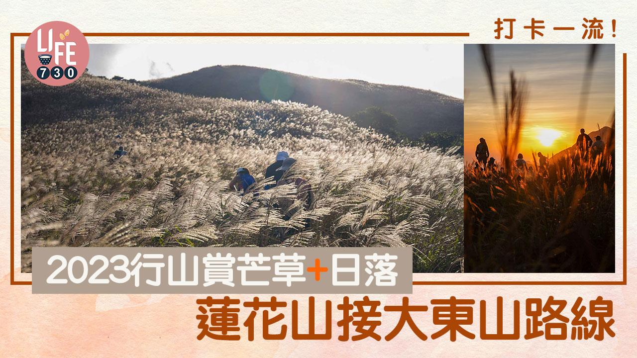 芒草行山路線︱蓮花山接大東山爛頭營 大嶼山第二、第三高山峰連走(附交通資訊)